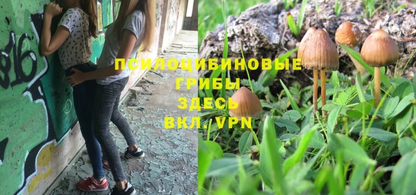 PSILOCYBIN Покровск