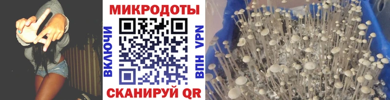 Галлюциногенные грибы мицелий  Купить  Североуральск 